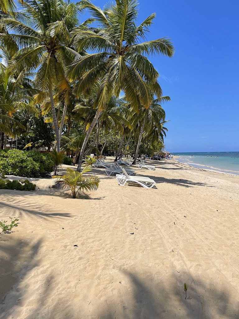 Beach apartment in las terrenas