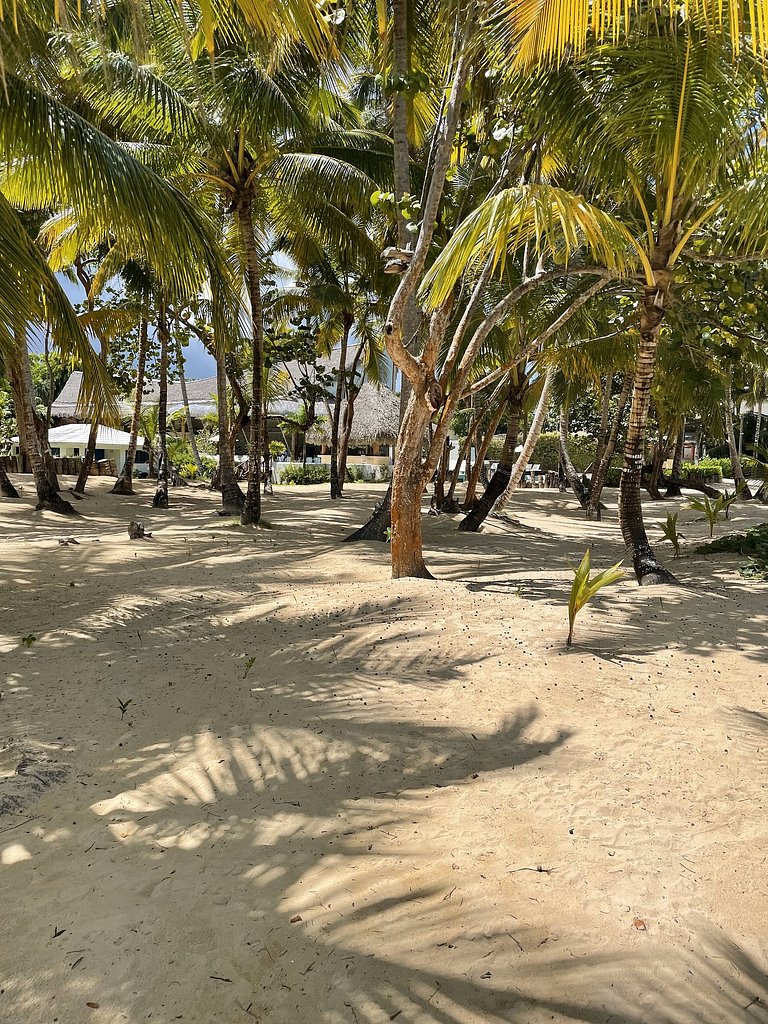 Beach apartment in las terrenas