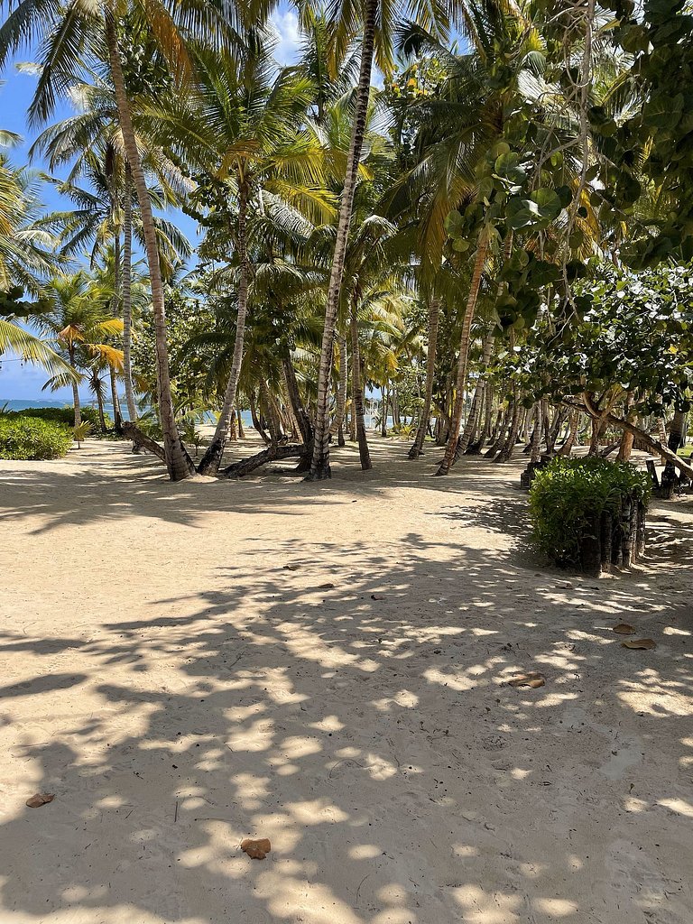 Beach apartment in las terrenas