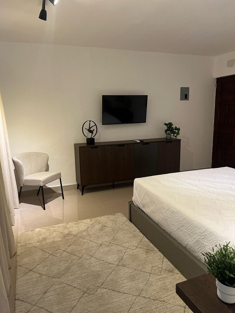Propiedades en Gazcue Santo Domingo plaza colonial