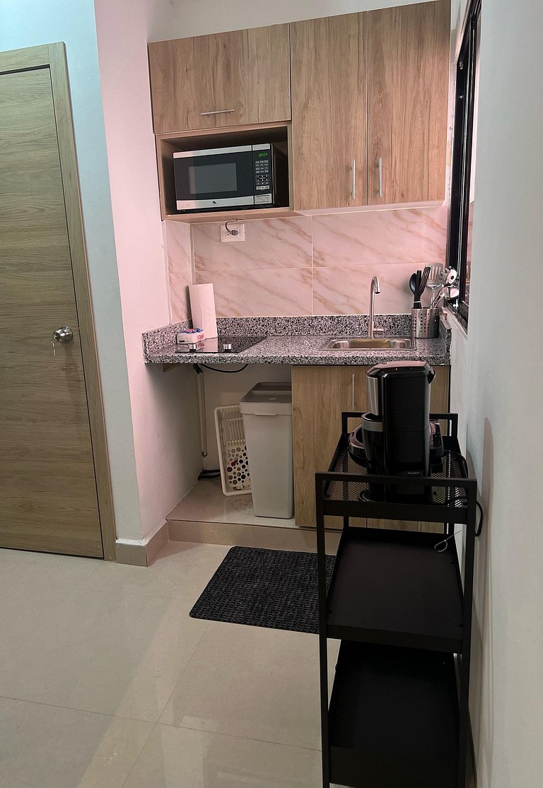 Propiedades en Gazcue Santo Domingo plaza colonial