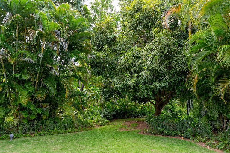 Luxurious villa in casa de campo